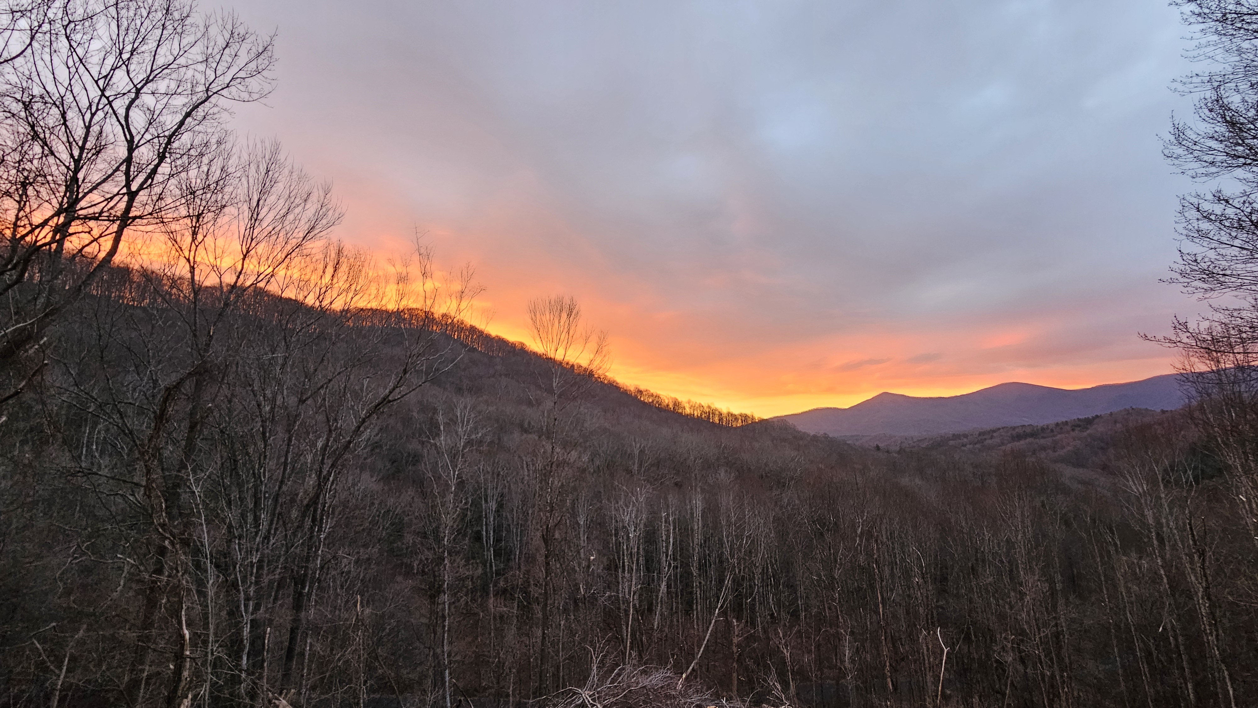 Three Little Bears Cabin